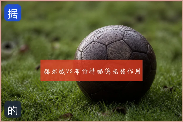 赫尔城vs布伦特福德老将作用